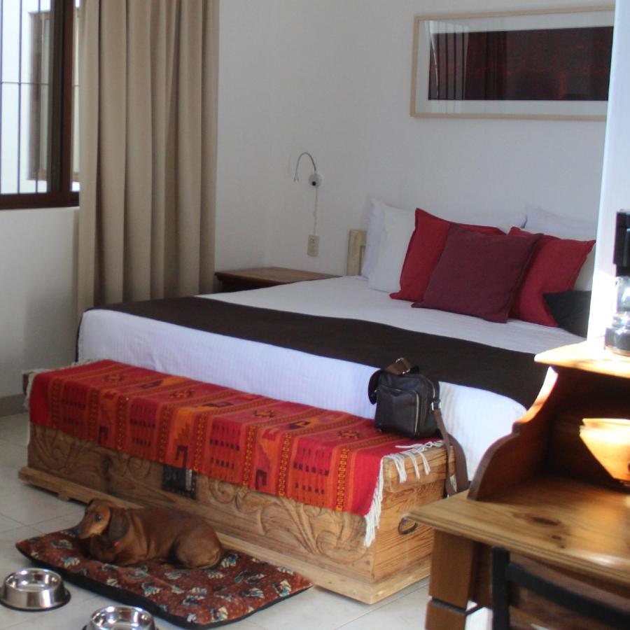 La Cochinilla Hotel Boutique Oaxaca Екстер'єр фото